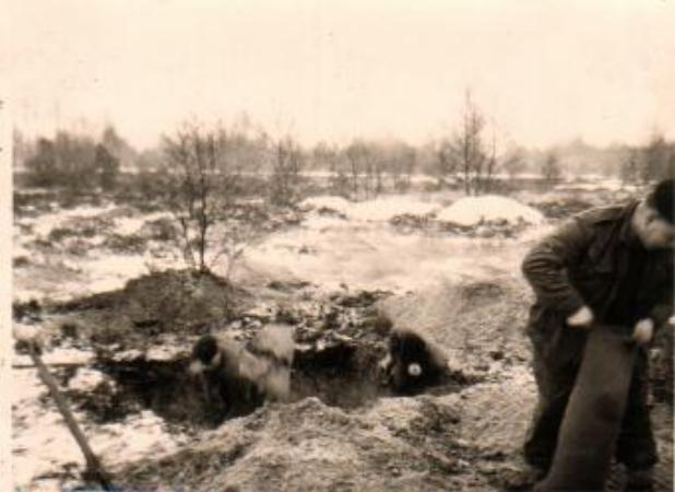 Images/War games 7.jpg